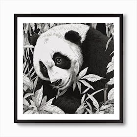 Panda Bear In The Jungle Art Print