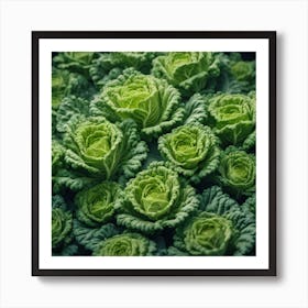 Cabbages 1 Art Print