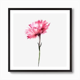 Carnation Art Print