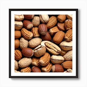 Nuts And Seeds 3 Art Print