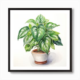 Philodendron Art Print