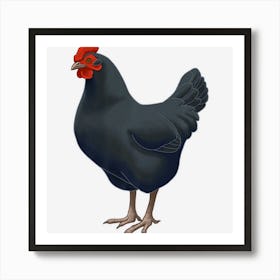 Black Australorp Hen Chicken Lover Art Print