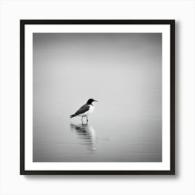 Gull963 Art Print