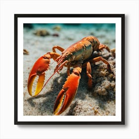 Lobster On The Beach Art Print