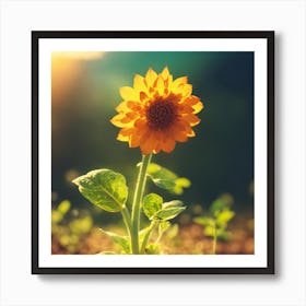 Sunflower - Sunflower Stock Videos & Royalty-Free Footage Art Print