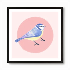 Blue Tit Art Print