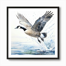 Canada Goose In Flight 1 Art Print