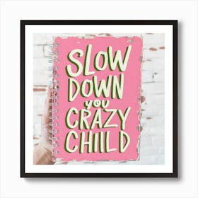 Slow Down You Crazy Child 2 Art Print