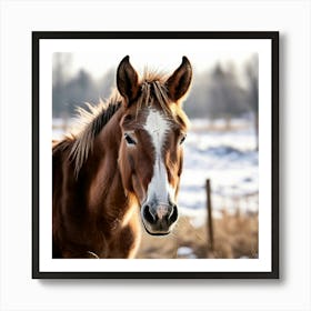 Horse Animal Grass Breeding Head Pasture Donkey Standing Farm Cute White Background Natu 1 Art Print