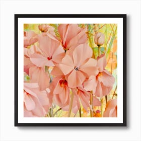 Pink Geraniums Art Print