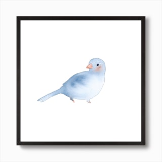 Blushing Bird Blue Square Art Print
