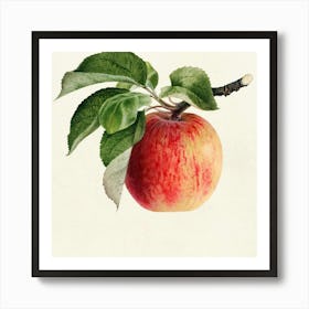 Apple On A Branch Art Print