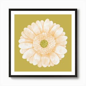 Gerber Daisy Art Print