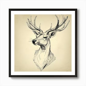 Deer Head 2 Art Print