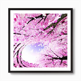 Sakura Blossom Tree Art Print