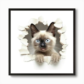 Siamese Cat 3 Art Print