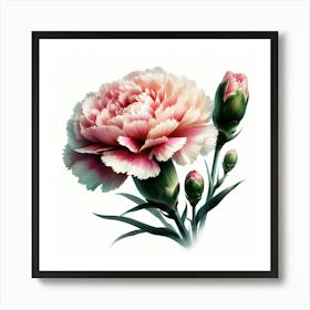 Carnation Flower Art Print