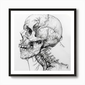 Skull Drawing 2 Art Print