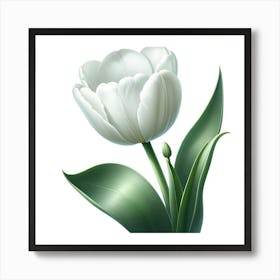 White Tulip Art Print