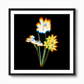 Prism Shift Corn lily Ixia Botanical Illustration on Black n.0095 Art Print