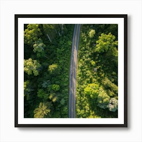 Aerial View Of A Forest Road 1 Art Print