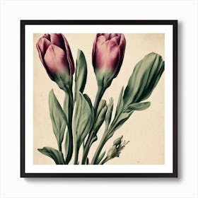 Tulips Eustoma Floral Botanical Vintage Poster Flower Art Print Art Print