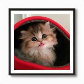 Cute Kitten In A Bag Art Print