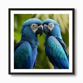 Blue Parrots Art Print