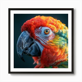 Portrait Of A Parrot 6 Art Print