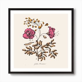 Golden Poinciana Art Print