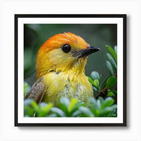 Yellow Crowned Kingfisher Art Print