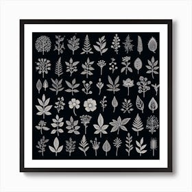 Black And White Leaves Art Print