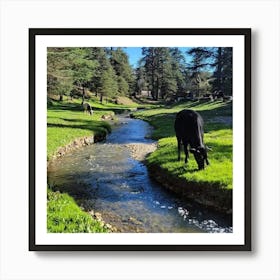 Cows Grazing In A Stream Art Print