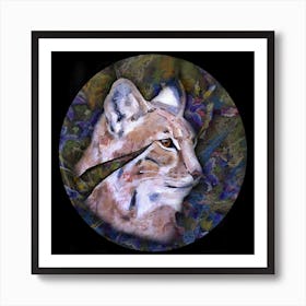 Mysterious Lynx In The Spring Art Print