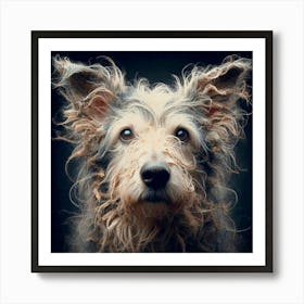 Old Dog 07 Art Print