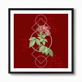 Vintage Boursault Rose Botanical with Geometric Line Motif and Dot Pattern n.0156 Art Print