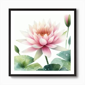 Water lily 2 Art Print