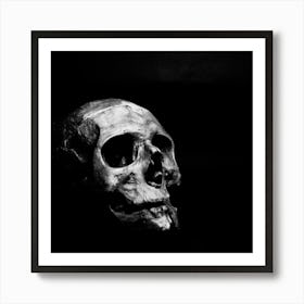 Human Skull Isolated On Black Background Art Print