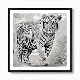 Tiger In The Jungle By Daniel Art Print