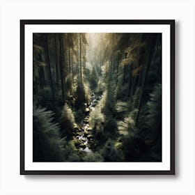 Forest Stream Affiche