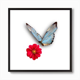 butterfly sitting on red flower design Art Print
