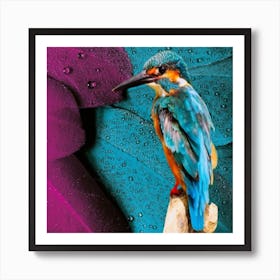 Kingfisher Art Print