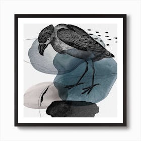 Feathered Friends Bird Black & Navy Square Art Print