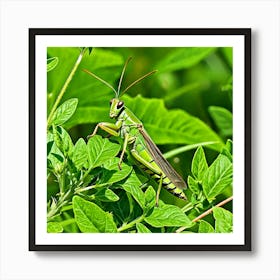 Grasshoppers Insects Jumping Green Legs Antennae Hopper Chirping Herbivores Garden Fields (6) Art Print
