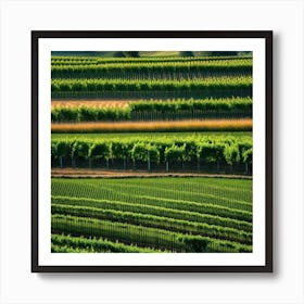 Vineyards In California 7 Art Print