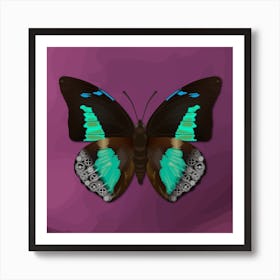 Mechanical Blue Butterfly The Doxocopa Cherubina On A Lilac Background Art Print
