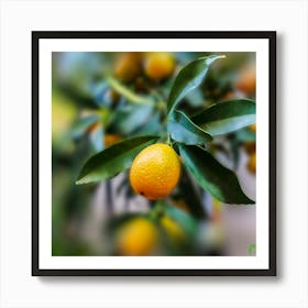 Tangerine Tree 20240113165936pub Art Print