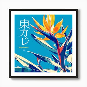 "Magnificent" Birds of Paradise Art Print