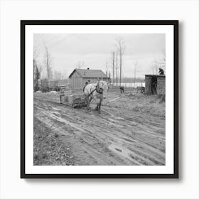 The Roads Are So Bad To The Transient Camp At Hagerman Lake, Michigan, That It Is Necessary To Haul Supplies By Mud Art Print