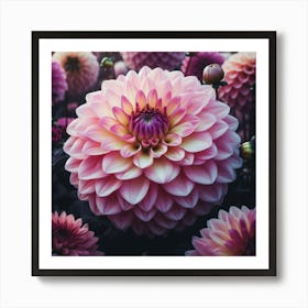 Large pink Dahlia flower 1 Art Print